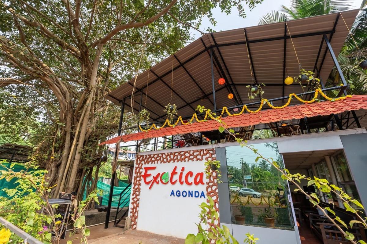 The Exotica Agonda Hotel Exterior photo