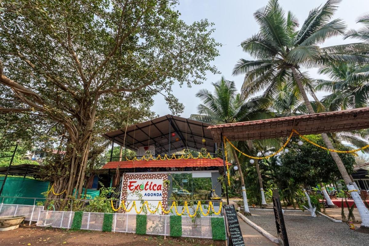 The Exotica Agonda Hotel Exterior photo